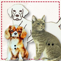 Our Faithful Companions